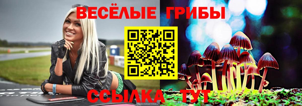 Псилоцибиновые грибы Magic Shrooms  Вход с VPN  Сыктывкар 