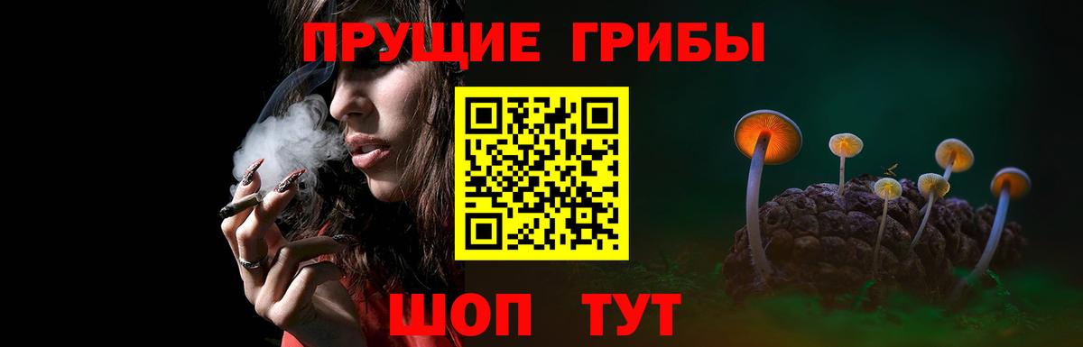 Галлюциногенные грибы ЛСД Сыктывкар